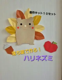 秋の製作　落ち葉で作るハリネズミ　製作キット8セット　壁面　保育