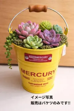 【新品✮未使用】CR MERCURY ミニバケツ イエローのサムネイル