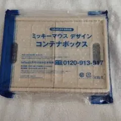 未開封新品】ミッキーマウスデザイン コンテナボックス