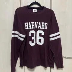【値下げしました】HARVARD バーガンディ 長袖シャツ M