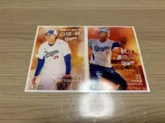 Item thumbnail for item 572d258f-5af2-4390-a4d4-43b01f8229e0