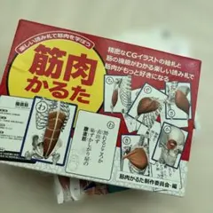 Item thumbnail for item a5ba2dcd-4afb-494b-8efa-b1ccbc58ac84