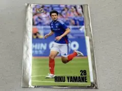 横浜F・マリノス マリガチャ トレカ風アクリルキーホルダー 2点セット