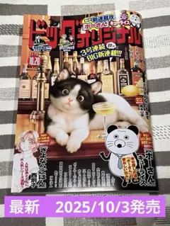ビッグコミックオリジナル10/20号 （2025/10/05発売）