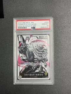 2026年最新】カタクリ リーダーパラレル psa10の人気アイテム - メルカリ