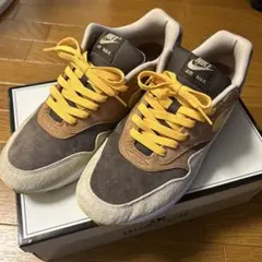 Nike Air Max 1 PRM ダックスパック