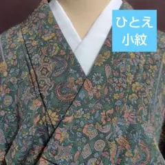 ひとえ　小紋　身丈162 　丹後ちりめん　 更紗模様　美品
