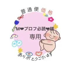 ☘️お得☘️ 大容量　母子手帳シール　マタニティフレークシール　妊娠記録　妊婦
