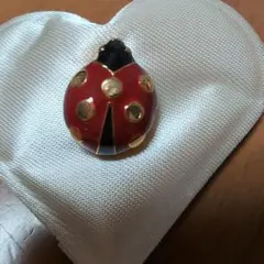 てんとう虫 ブローチ 幸運のシンボル