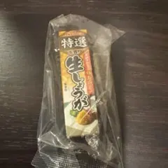 食品 カプセルトイ