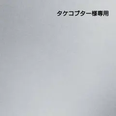 ☆タケコブター様専用☆スプリングバニー・さくらんぼ ×２・リボン