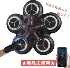 リズムボクシングマシン 音楽再生機能付き