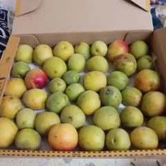 ひまわりママ様 リクエスト 2点 まとめ商品