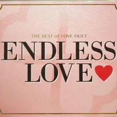 美品 「ENDLESS LOVE」THE BEST of LOVE DUET