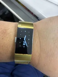 Fitbit Charge 2 本体ステンレスメッシュバンド付き充電ケーブル付き