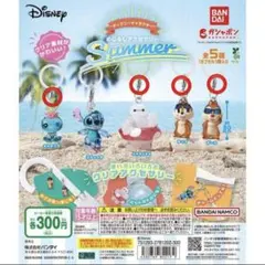 めじるしアクセサリー ディズニーSummer デールのみ