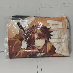 Crazy Raccoon ビッグクッション Arisakaaa ありさか