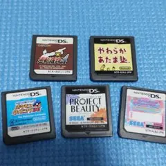 ニンテンドーDSソフト 逆転裁判4、やわらかあたま塾など6点