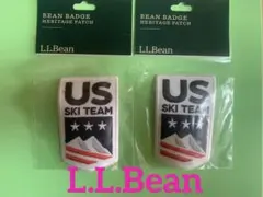 Item thumbnail for item 5962efc8-60e7-41e4-bb9a-2a2535e7dc77