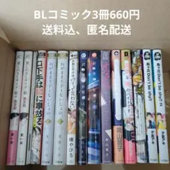 BLコミック　3冊セット