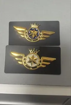 2026年最新】ピンバッジ エアラインの人気アイテム - メルカリ