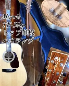 TＦ-Morris W80スプルーストップ、ハカランダ、スリーピースバック TF-Morris W80スプルーストップ、ハカランダ、スリーピース
