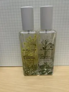 2025年最新】ヘムロックベルガモットの人気アイテム - メルカリ