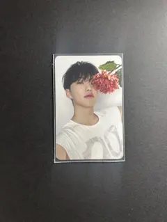 ホシ トレカ セブチ17 is right here Carat盤