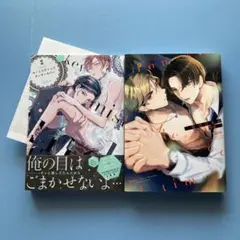 blコミック2冊【喃喃】二度目は正直・キーミスティックアンダーカバー