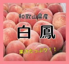 和歌山県産　白鳳　5〜7玉（7/1以降随時発送予定のサムネイル
