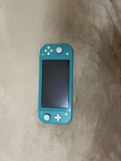 い*く様 Nintendo Switch Lite ターコイズ