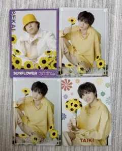 FANTASTICS 世界 佐藤大樹 Sunflower フォトカ セット