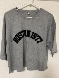 coca BOSTON 1977 ロゴ クロップド丈 半袖 Tシャツ グレー M