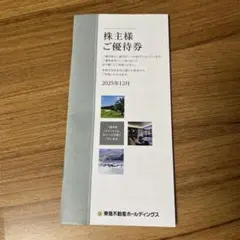 東急不動産株主優待券 宿泊割引券 2025年12月発行