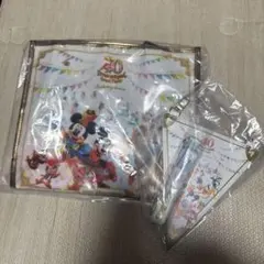 な*つ様 ディズニーランドホテル グランドフィナーレ 40周年 トートバッグ