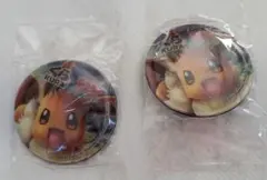 くら寿司　びっくらポン　ポケモン　イーブイ　マグネット２個セット