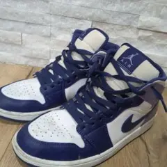 Nike Air Jordan 1 sky j Purple