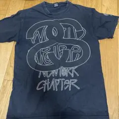 Stussy Tシャツ Mサイズ