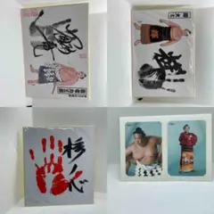 2026年最新】鶴竜 サインの人気アイテム - メルカリ