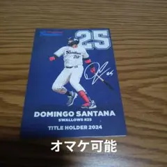 Item thumbnail for item df2faaf5-4778-4b83-9aff-ba74f3408587