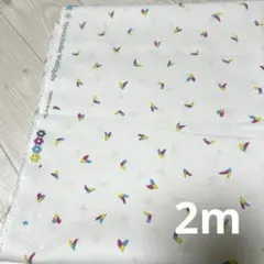 USAコットン フリースピリット 2m