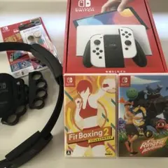 リングフィットアドベンチャー ボクシング