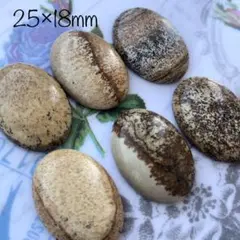 ストーンカボション5