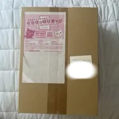 wcs2023限定　横浜記念デッキ ピカチュウ