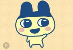 n12r様　専用ページ