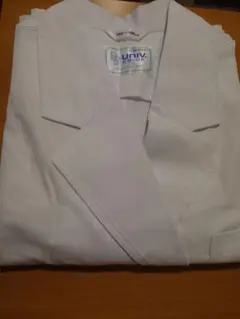 Item thumbnail for item 7c018753-29ca-4582-adae-85f03d2fa82f