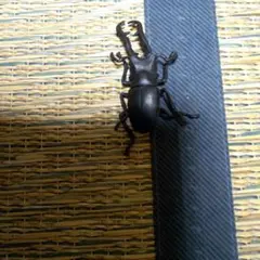 ガチャガチャ