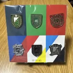 【新品未開封】 欅坂46 ピンバッチ