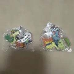 ポケモン　旅立ちの３匹　アクリルスイング　セット