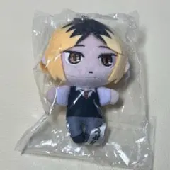 孤爪研磨 ラウンドワン ぬいぐるみ